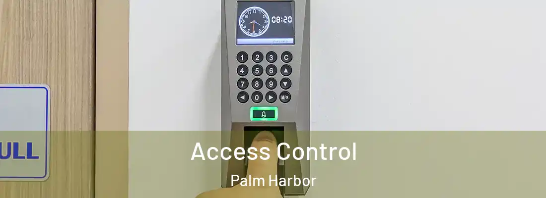 Access Control Palm Harbor