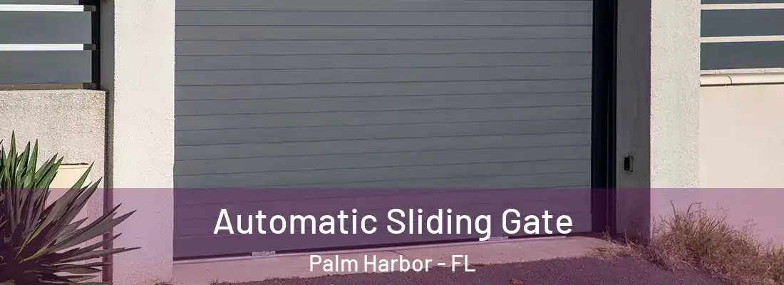  Automatic Sliding Gate Palm Harbor - FL