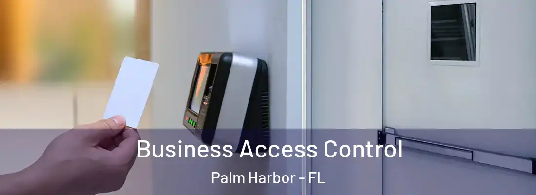 Business Access Control Palm Harbor - FL