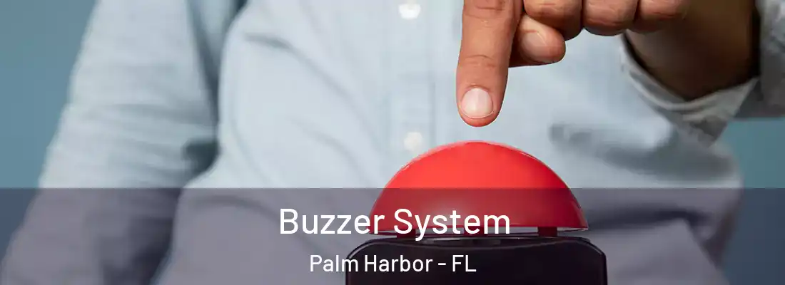 Buzzer System Palm Harbor - FL