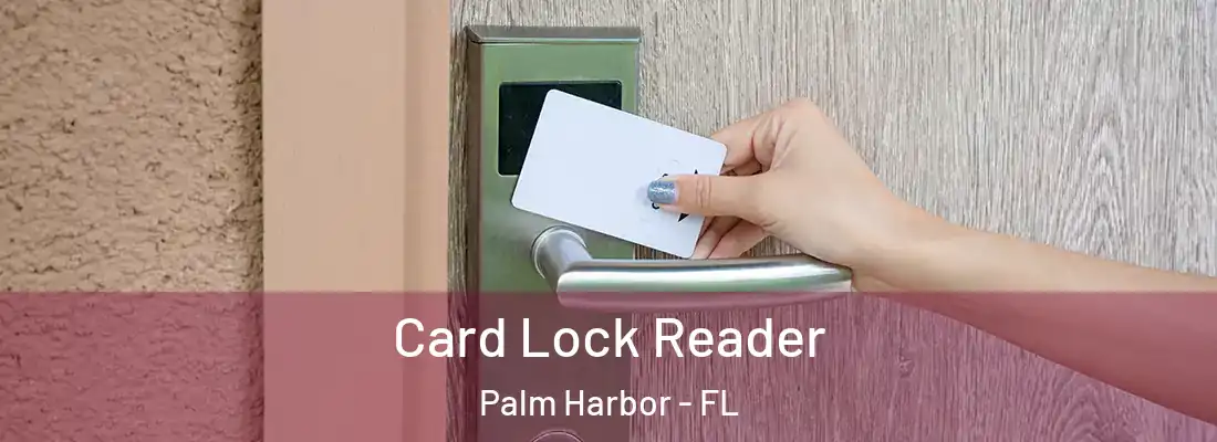 Card Lock Reader Palm Harbor - FL