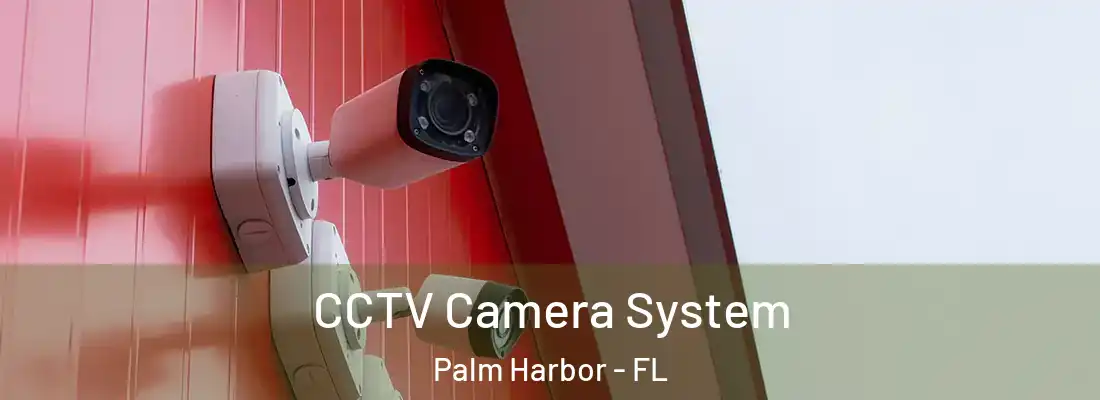 CCTV Camera System Palm Harbor - FL