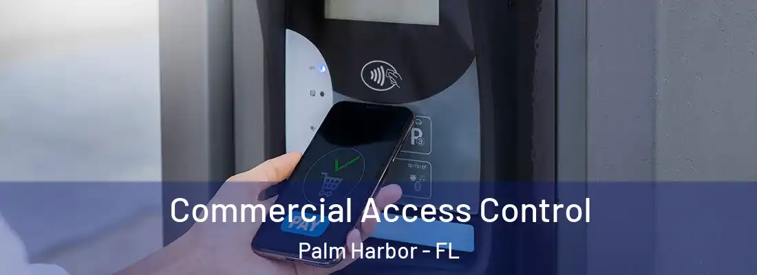 Commercial Access Control Palm Harbor - FL