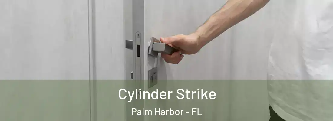  Cylinder Strike Palm Harbor - FL