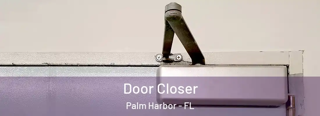  Door Closer Palm Harbor - FL
