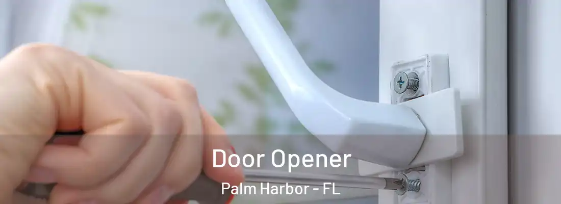 Door Opener Palm Harbor - FL