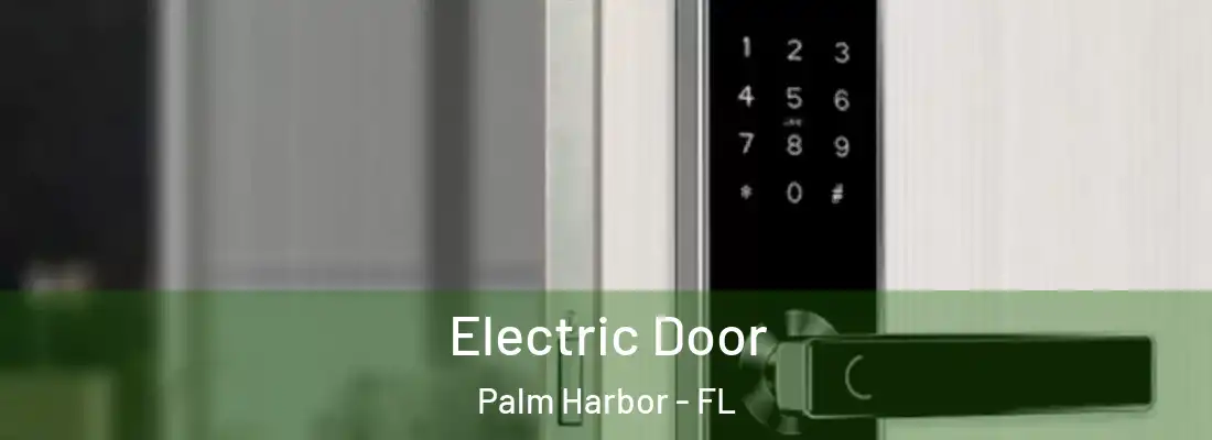  Electric Door Palm Harbor - FL
