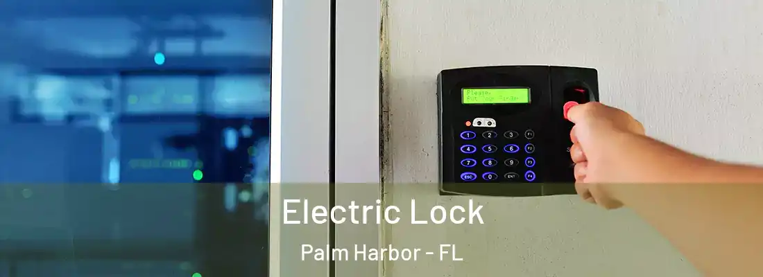 Electric Lock Palm Harbor - FL