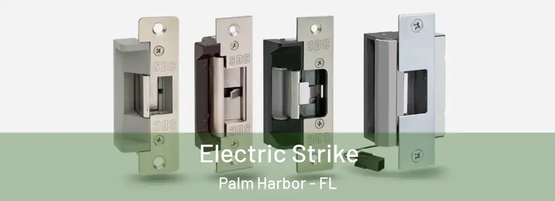 Electric Strike Palm Harbor - FL
