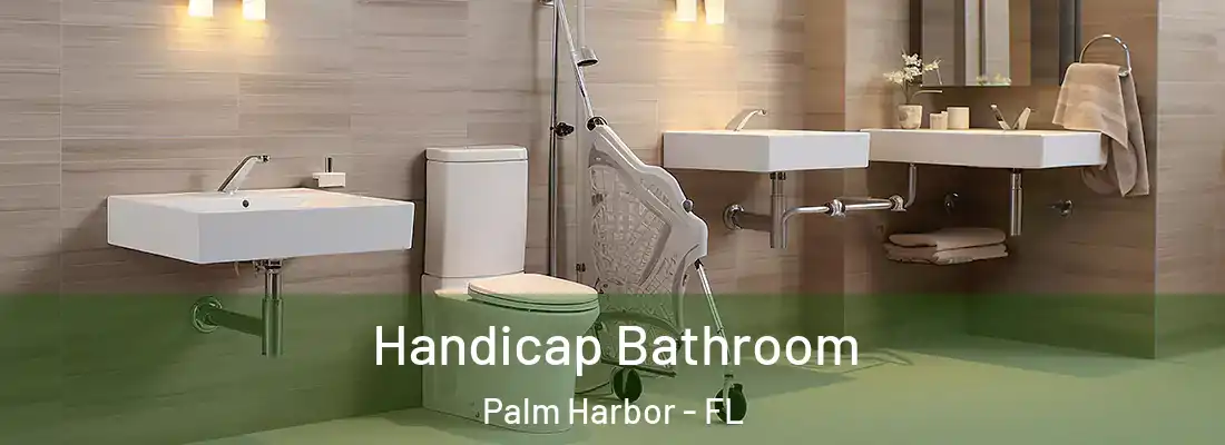  Handicap Bathroom Palm Harbor - FL