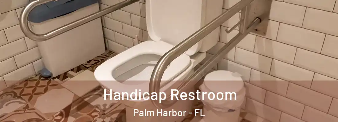 Handicap Restroom Palm Harbor - FL