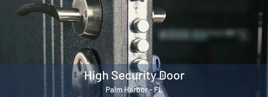 High Security Door Palm Harbor - FL