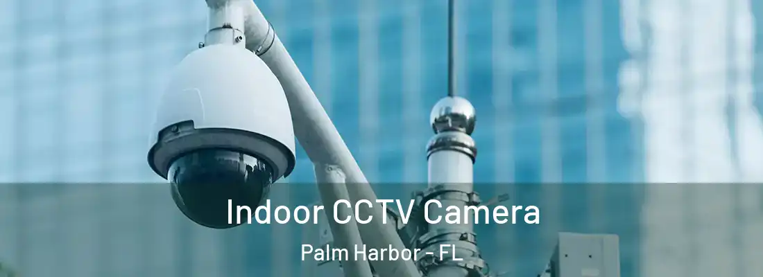 Indoor CCTV Camera Palm Harbor - FL