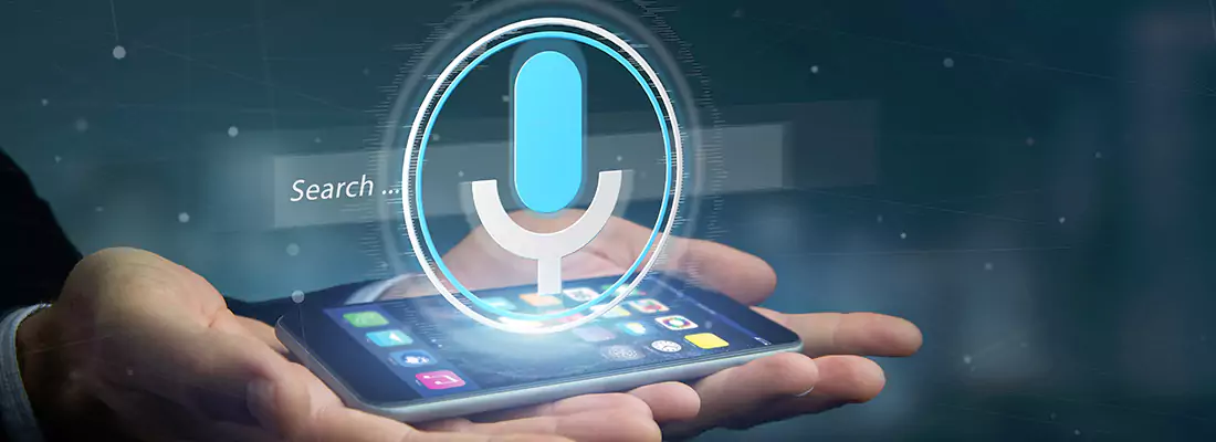 Enhance Security with Voice Recognition Access Systems in Palm Harbor, FL