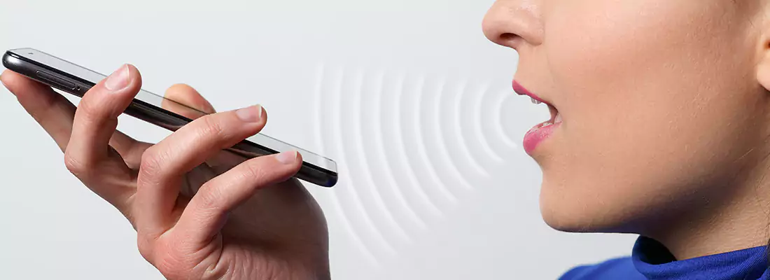 Residential and Commercial Voice Recognition Access Solutions in Palm Harbor, FL