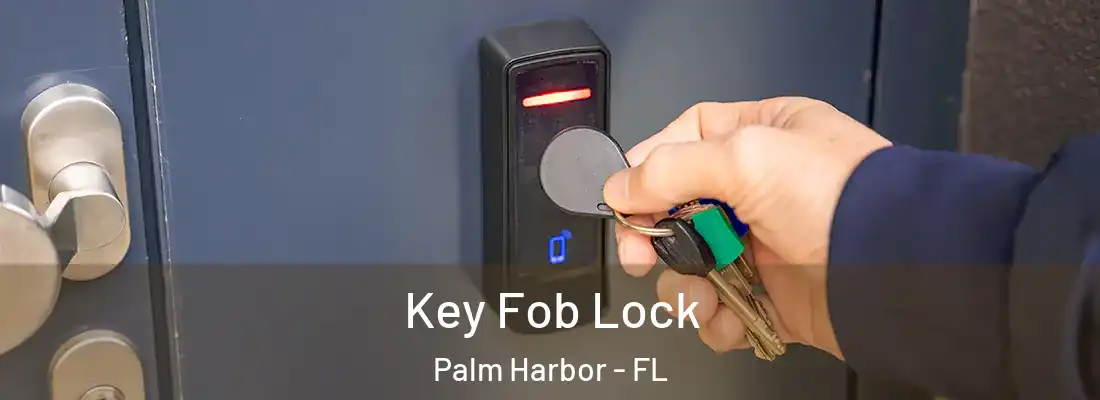Key Fob Lock Palm Harbor - FL