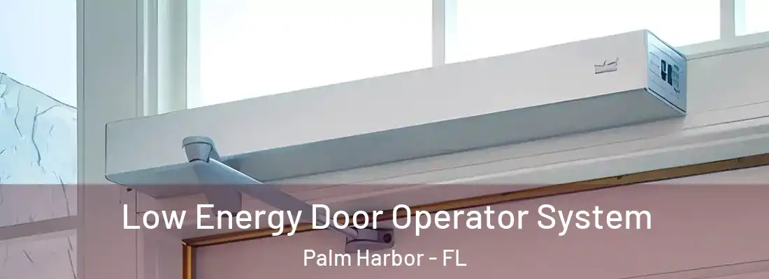 Low Energy Door Operator System Palm Harbor - FL