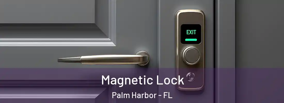 Magnetic Lock Palm Harbor - FL