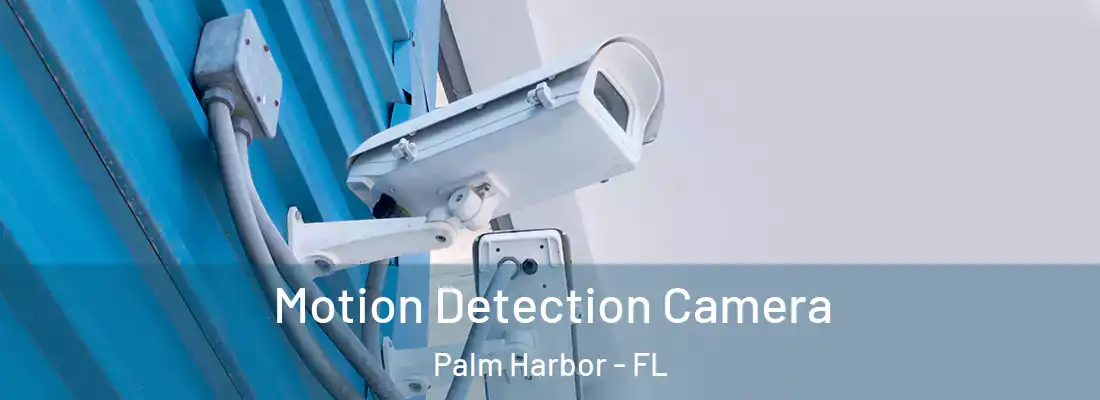  Motion Detection Camera Palm Harbor - FL