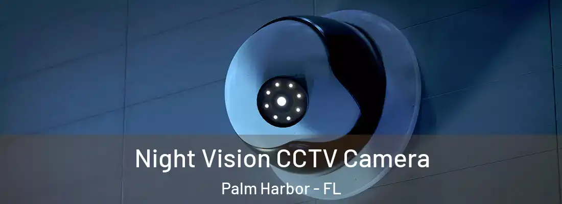 Night Vision CCTV Camera Palm Harbor - FL