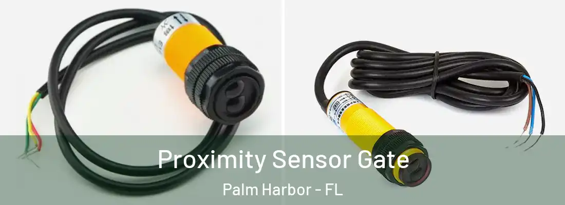 Proximity Sensor Gate Palm Harbor - FL