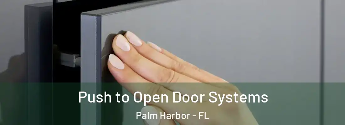  Push to Open Door Systems Palm Harbor - FL