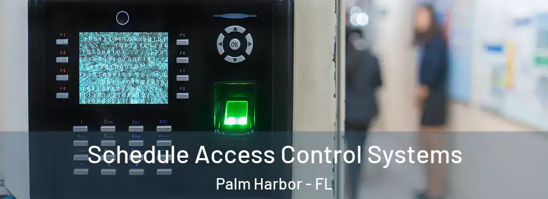 Schedule Access Control Systems Palm Harbor - FL