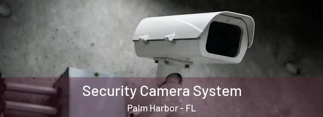  Security Camera System Palm Harbor - FL