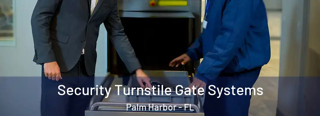 Security Turnstile Gate Systems Palm Harbor - FL