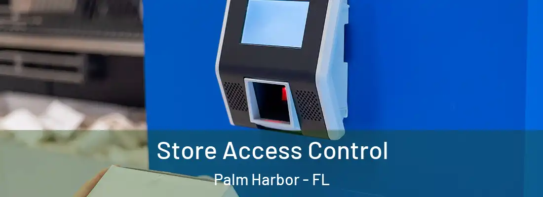  Store Access Control Palm Harbor - FL