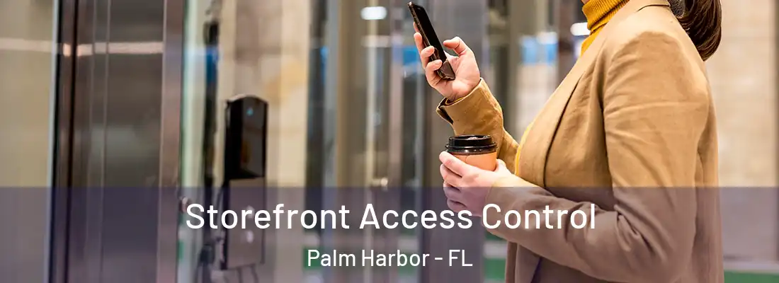  Storefront Access Control Palm Harbor - FL